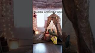 POV. Making a base inside our house #catmemes #funny #funnyshorts #memecat #ytshorts #trending