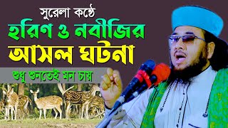 সুরেলা কন্ঠে হরিণ ও নবীজির আসল ঘটনা, শুধু শুনতেই মন চায়।।Mawlana G M Shahjahan Biplobi-kazi tv