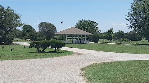 Live At The Cemetery