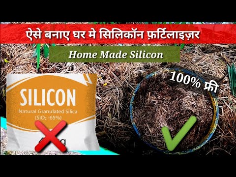 वीडियो: सिलिकॉन में कौन से खाद्य पदार्थ अधिक हैं