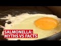 Salmonella: Myths vs Facts | Talking Point | CNA Insider