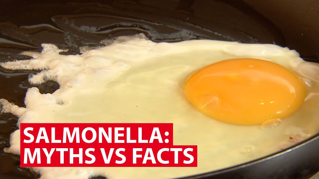 Salmonella Myths vs Facts Talking Point CNA Insider YouTube