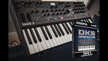 Sequential Take 5 Patches "DKS Custom Collection" | No Talking |