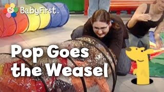 Pop Goes The Weasel Nursery Rhyme | Music Videos | BabyFirst TV