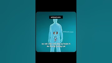 Đàn ông nhút nhát có làm con gái thích? Sột Soạt Chấm Com - Sotsoat.com