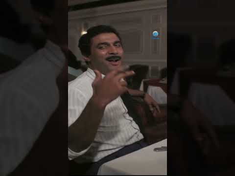 أحمد زكي قال الخلاصة عن الخوف البيضة والحجر Shorts 