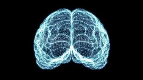 Holographic Grid Brain | Motion Graphics - Envato elements