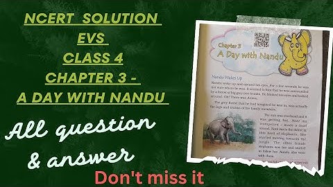 Chapter 3  - A day with Nandu || EVS || Class 4 || Question & Answer Discussion || NCERT Course ||