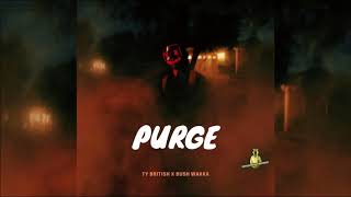 Ty British (Feat Bush Wakka) - Purge | 2020 Dancehall