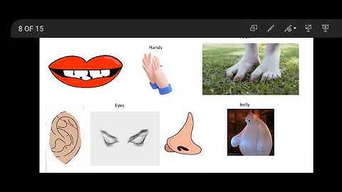 Class 4// English // A Team Of Workers //Samina khalid Ahmed