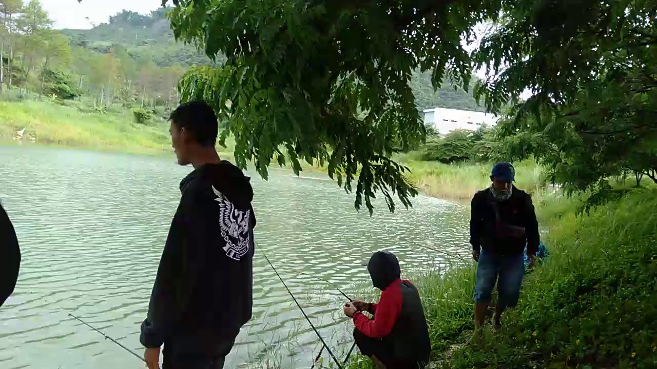 MANCING MANCING - YouTube