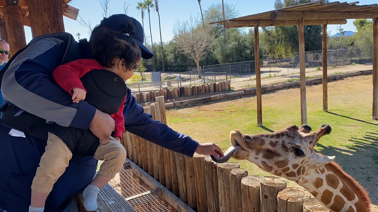 Me at the zoo Wildlife world zoo, Aquarium & Safari Park YouTube