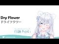 Shirose Aoi - Dry Flower [ドライフラワー / 白瀬あおい] (優里) | プロプロ