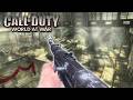 Classic Dome Craziness | World at War Multiplayer Gameplay