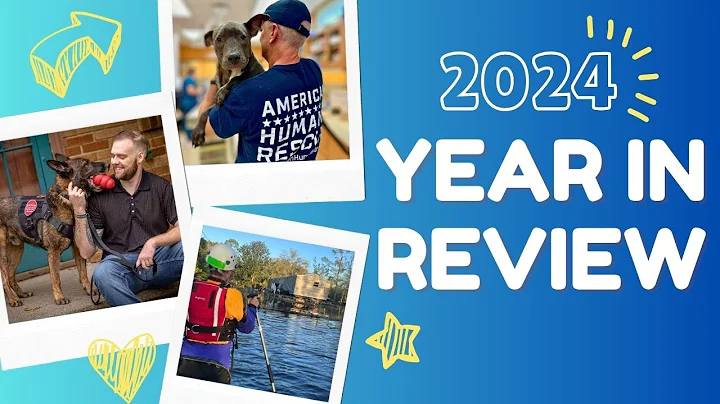 American Humane's Year in Review | 2024
