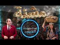 [تحدي الفلاحي] - [المستوى الثالث] - إليسا - (مشنة)