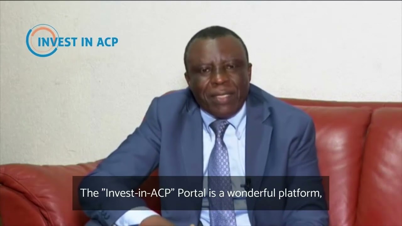 "ACP Business-Friendly" Impact Stories: APME on UNIDO's Digital Tools ...