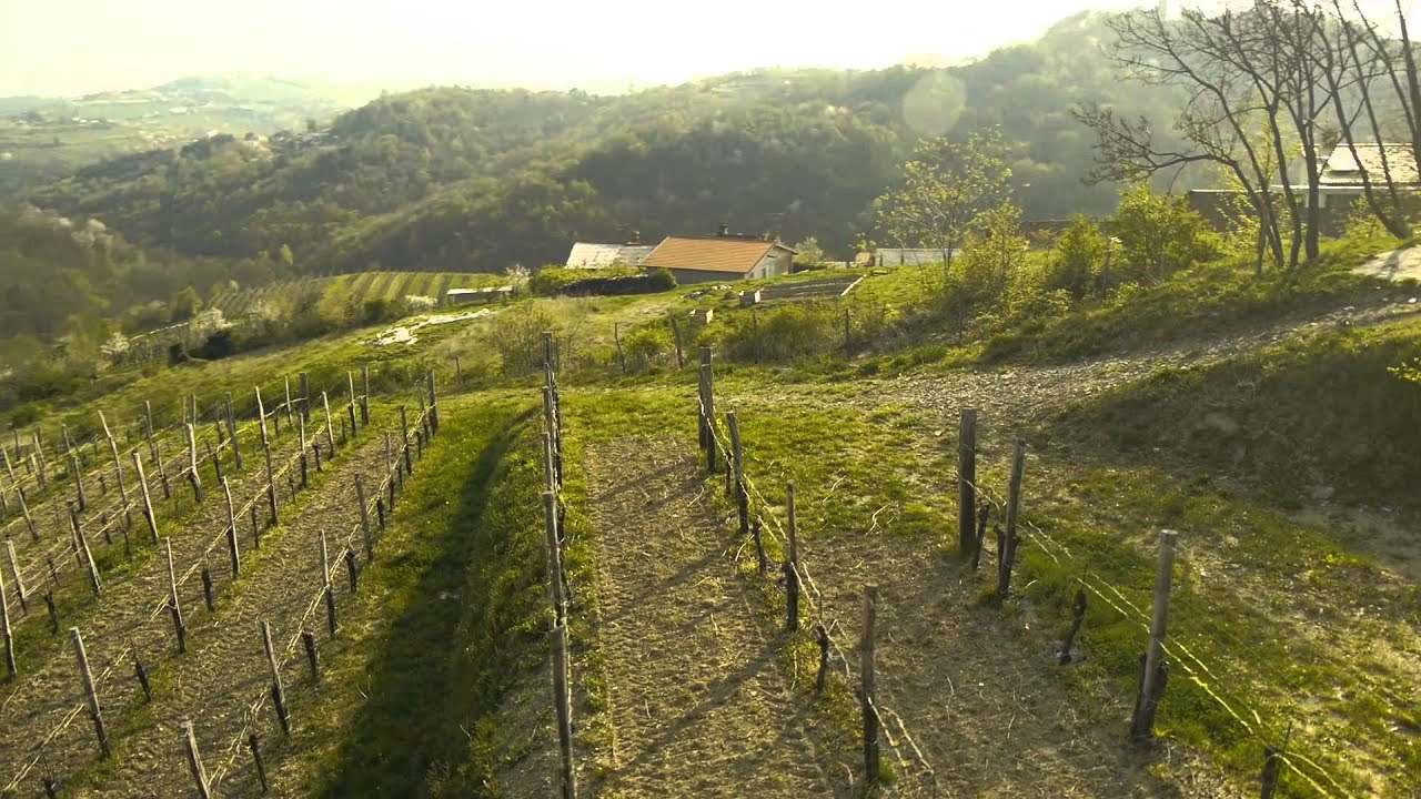 Vino in Sadje iz sončnih Goriških Brd - Bizjak domačija