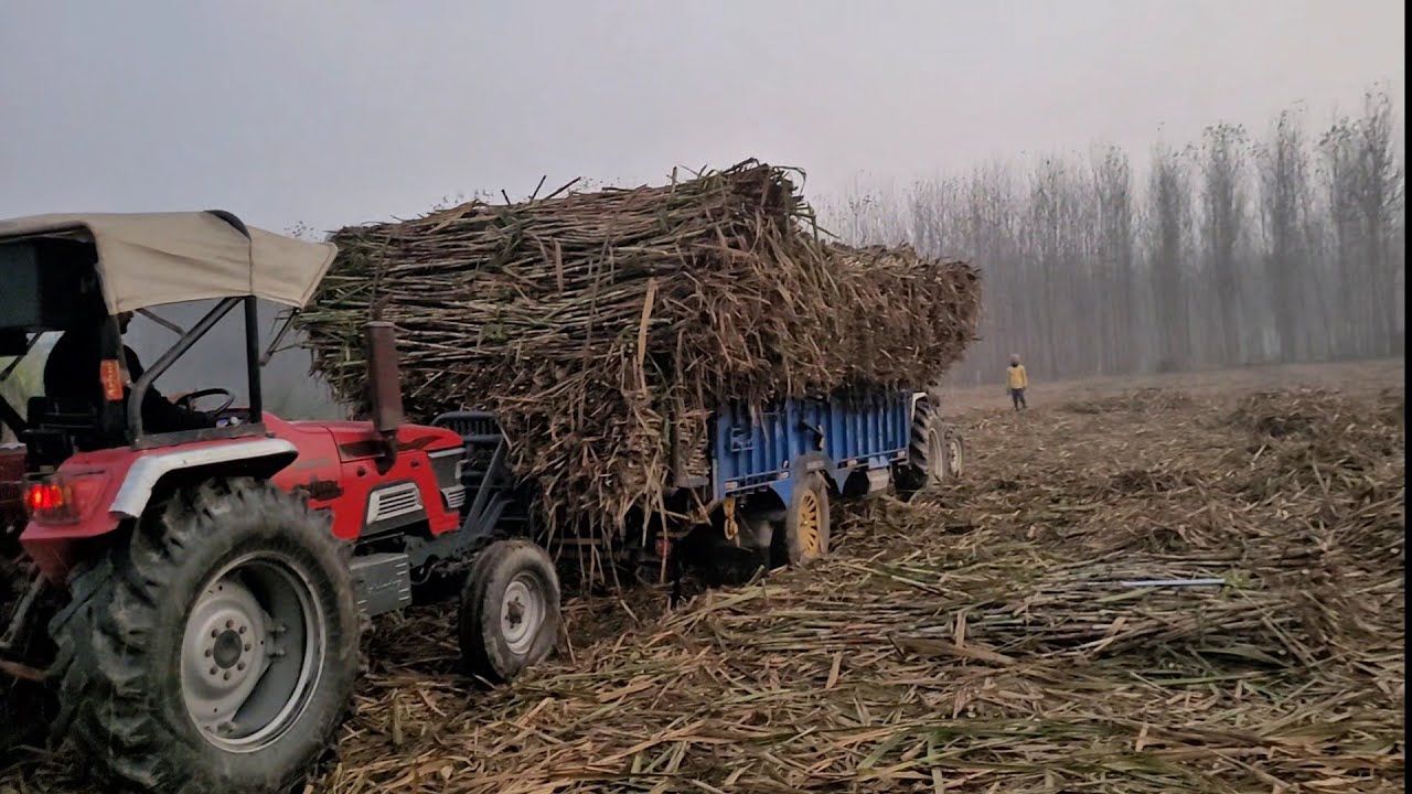 tractor se lgaya dakha 😎😎 | vlog 44 |