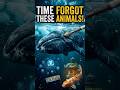 TIME FORGOT THESE ANIMALS PART:2 #animals #shorts