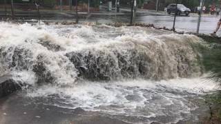 Elster Creek flooding in Brighton East 29/12/2016 1