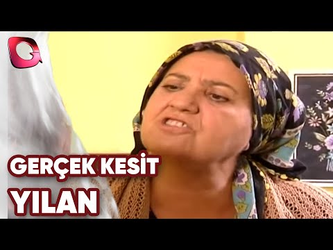 GERÇEK KESİT - YILAN