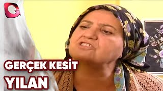 Gerçek Kesi̇t - Yilan