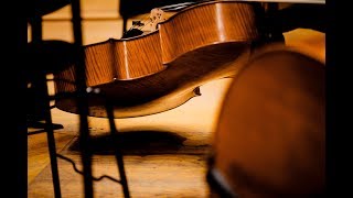 Beethoven: Symphony no 1 - Dima Slobodeniouk - Sinfónica de Galicia