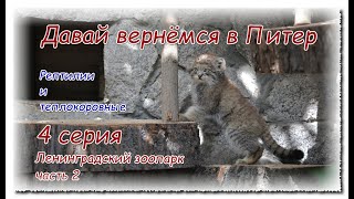 Давай вернёмся в Питер 4 серия, Ленинградский зоопарк в Санкт Петербурге, часть 2