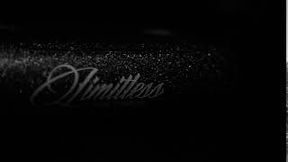 Limitless Mod Co New Product Preview