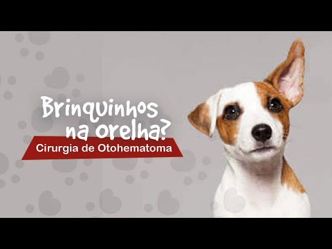 Vídeo: Home remédios para infecções de levedura de orelha de cão