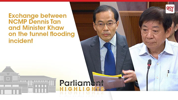 Exchange between NCMP Dennis Tan & Minister Khaw o...