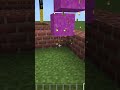 ちろぴの作って下さい 【Minecraft】