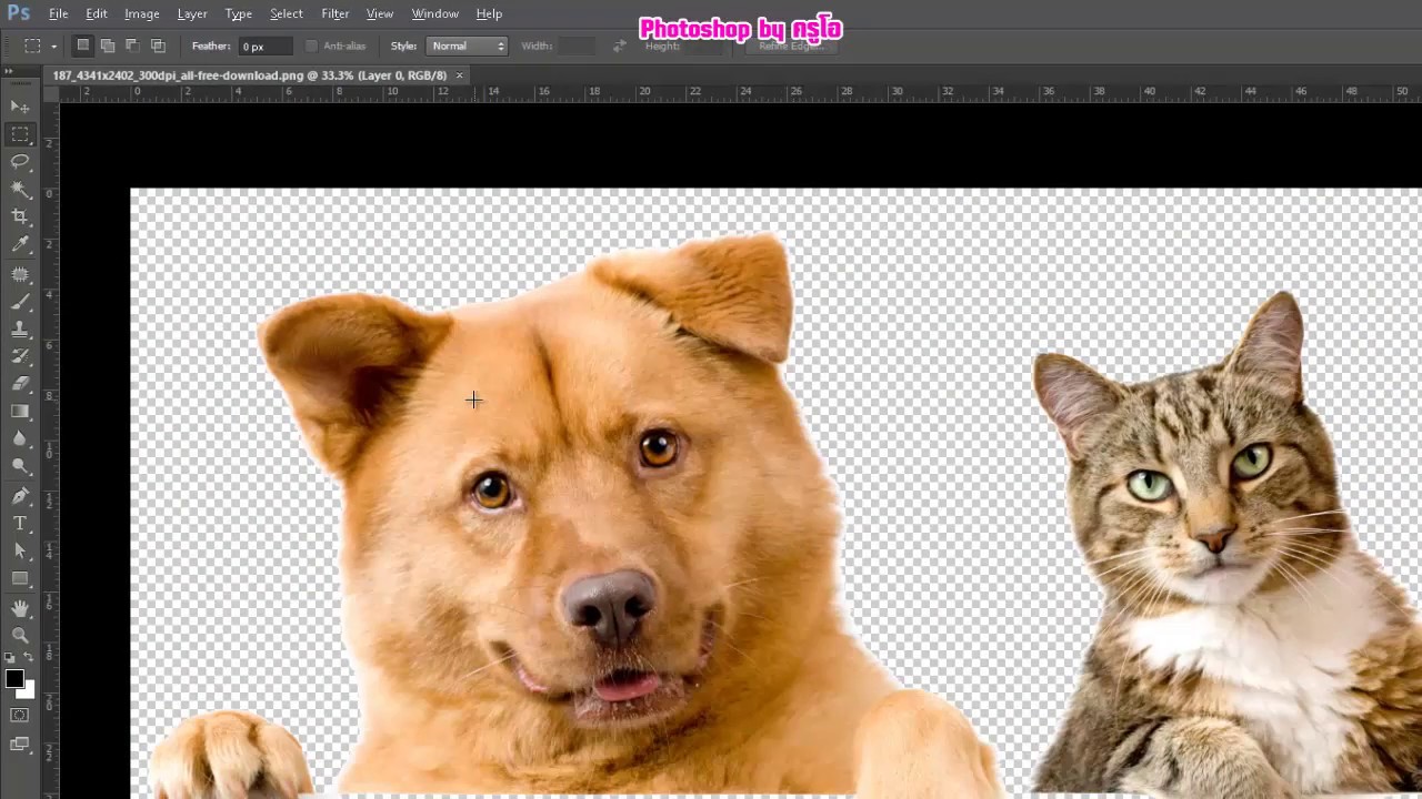 marquee คือ  2022 New  พื้นฐานการใช้ photoshop  ep 2 -- การใช้ Marquee tool