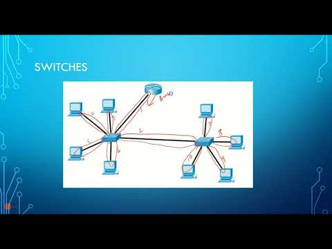 Datacom2-24 Switches
