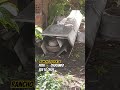 Pata Chocando seus Ovos