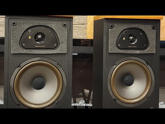 Acoustic Research TSW-210 b Speakers! - YouTube