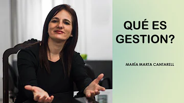 ¿Cuáles son los 6 tipos de gestión?