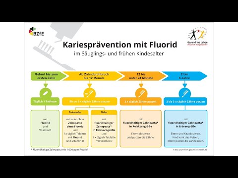 Fachgespräch: Kariesprävention