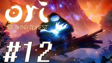 Ori and the Blind Forest [LET