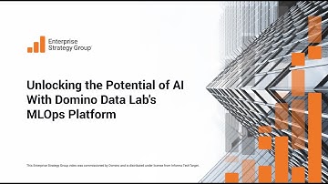 Unlocking the Potential of AI With Domino Data Lab