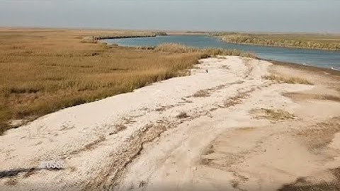 Why do wetlands matter?