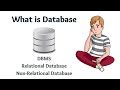 Learn What is Database | Types of Database | DBMS