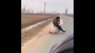 Vorsicht Ist Die Mutter Der Porzellankiste