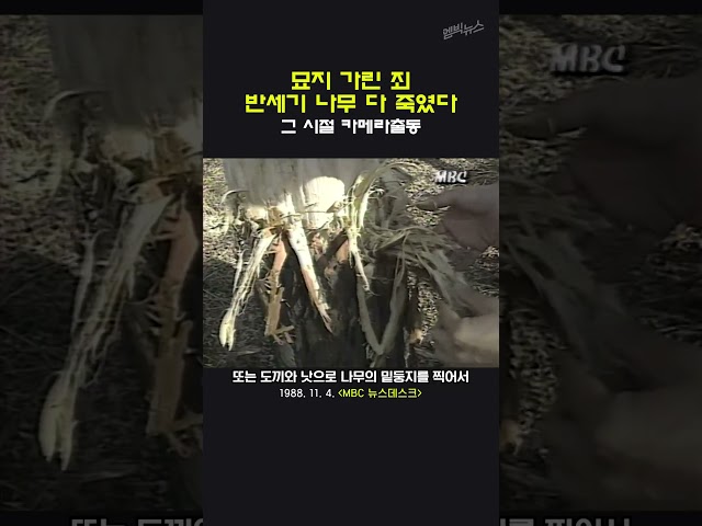 [그 시절 카메라 출동] 도끼 살목마