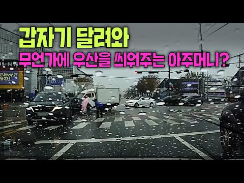 교차로 가운데로 달려나오신 <strong>아주머니</strong>.. 갑자기 뭔가에 우산을 씌워주는데..