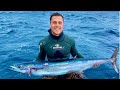 Speared my first Wahoo | Gold Coast Spearfishing