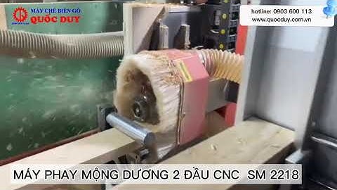 Máy phay mộng dương 2 đầu CNC - SM 2218