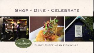 Zionsville Indiana- Holiday Shopping 2015 spot