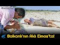 Kurbağalar Türk Filmi | Balkanlı ALi, Elmas'ı Aklından Çıkartamıyor!